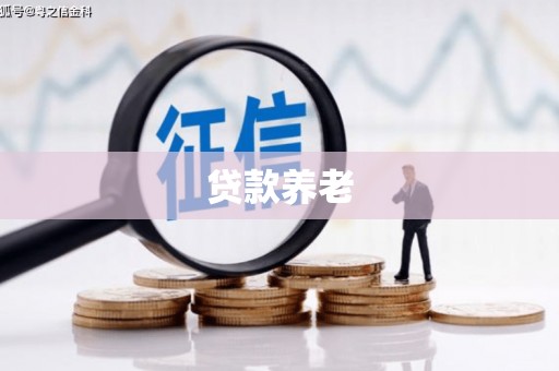 靖州贷款养老