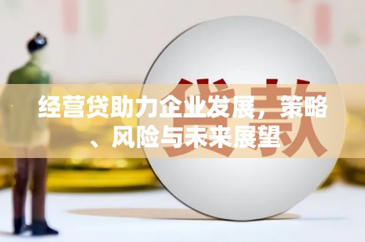 靖州经营贷助力企业发展，策略、风险与未来展望