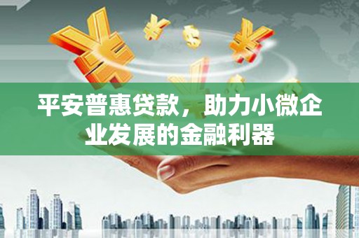 靖州平安普惠贷款，助力小微企业发展的金融利器