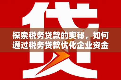 靖州探索税务贷款的奥秘，如何通过税务贷款优化企业资金流