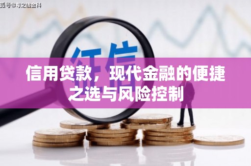 靖州信用贷款，现代金融的便捷之选与风险控制