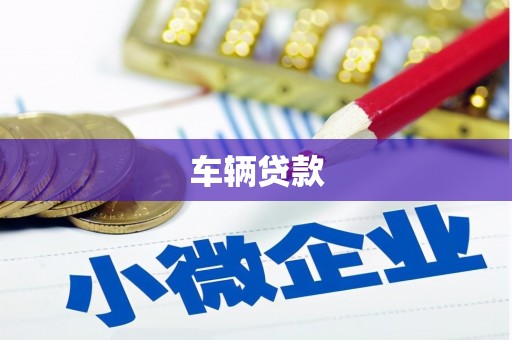 靖州车辆贷款