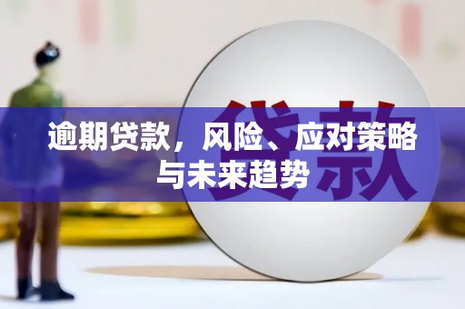 靖州逾期贷款，风险、应对策略与未来趋势