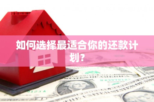 靖州如何选择最适合你的还款计划？