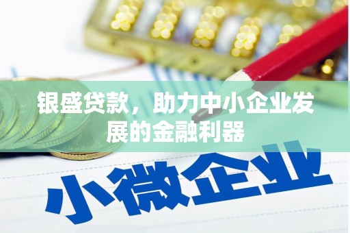 靖州银盛贷款，助力中小企业发展的金融利器