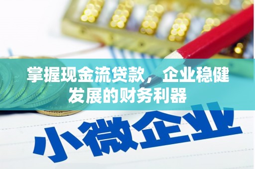 靖州掌握现金流贷款，企业稳健发展的财务利器