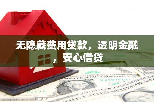 靖州无隐藏费用贷款，透明金融，安心借贷