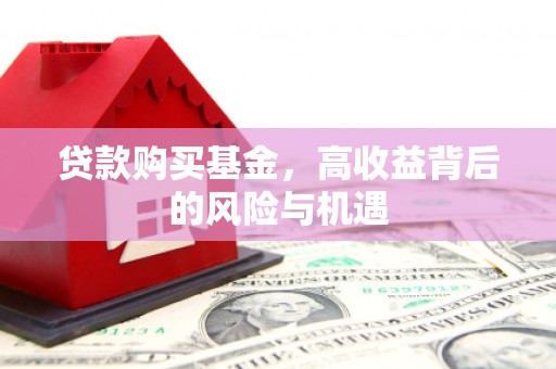 靖州贷款购买基金，高收益背后的风险与机遇