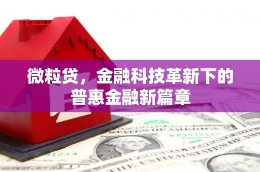 靖州微粒贷，金融科技革新下的普惠金融新篇章