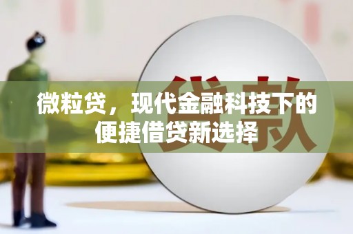靖州微粒贷，现代金融科技下的便捷借贷新选择