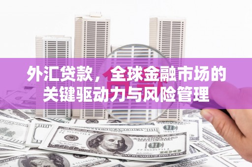 靖州外汇贷款，全球金融市场的关键驱动力与风险管理
