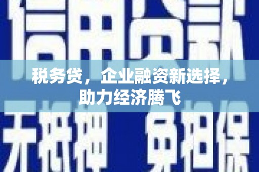 靖州税务贷，企业融资新选择，助力经济腾飞