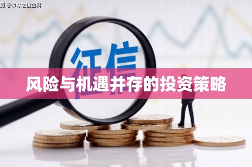 靖州风险与机遇并存的投资策略