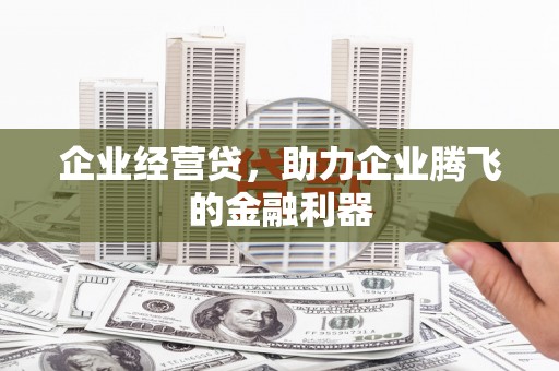 靖州企业经营贷，助力企业腾飞的金融利器