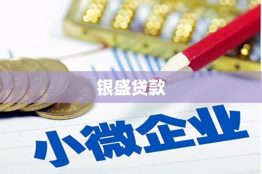 靖州银盛贷款