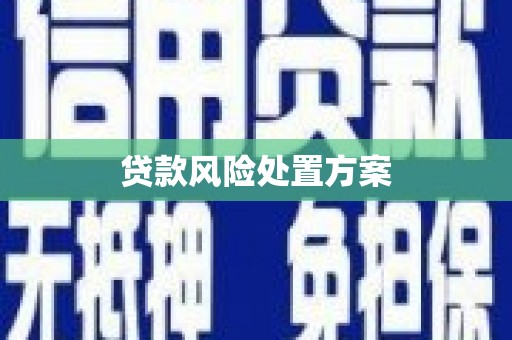 靖州贷款风险处置方案