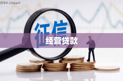 靖州经营贷款