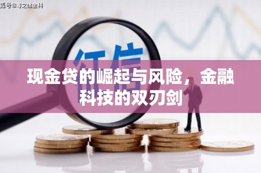 靖州现金贷的崛起与风险，金融科技的双刃剑