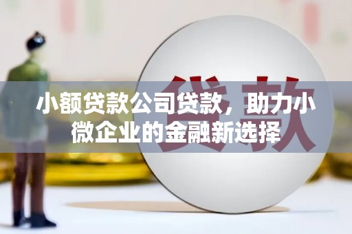 靖州小额贷款公司贷款，助力小微企业的金融新选择
