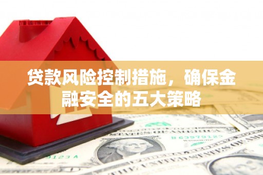靖州贷款风险控制措施，确保金融安全的五大策略