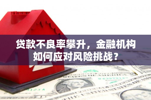 靖州贷款不良率攀升，金融机构如何应对风险挑战？