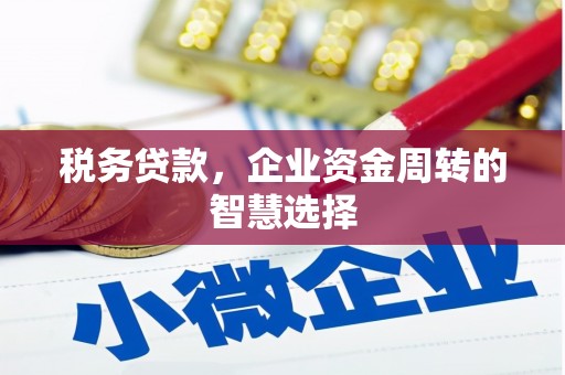 靖州税务贷款，企业资金周转的智慧选择