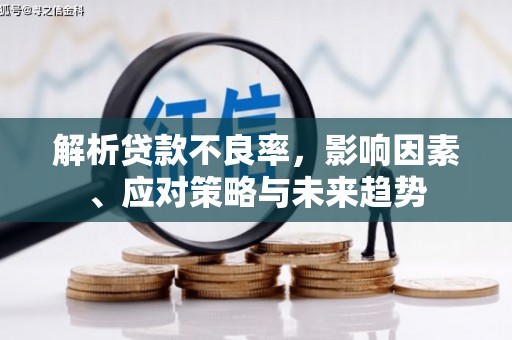靖州解析贷款不良率，影响因素、应对策略与未来趋势