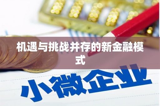 靖州机遇与挑战并存的新金融模式