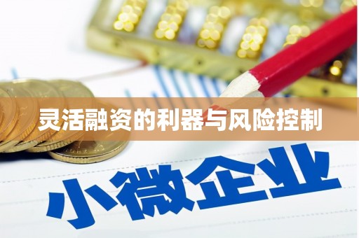 靖州灵活融资的利器与风险控制