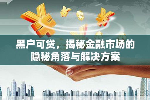 靖州黑户可贷，揭秘金融市场的隐秘角落与解决方案