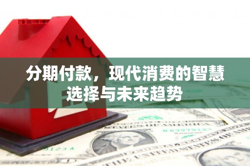 靖州分期付款，现代消费的智慧选择与未来趋势