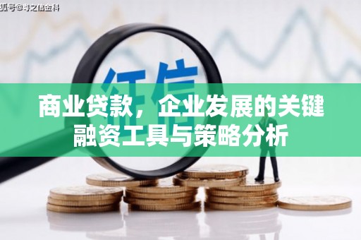 靖州商业贷款，企业发展的关键融资工具与策略分析