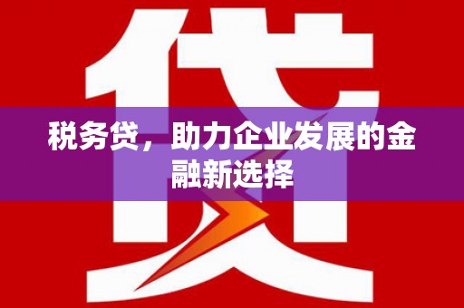 靖州税务贷，助力企业发展的金融新选择