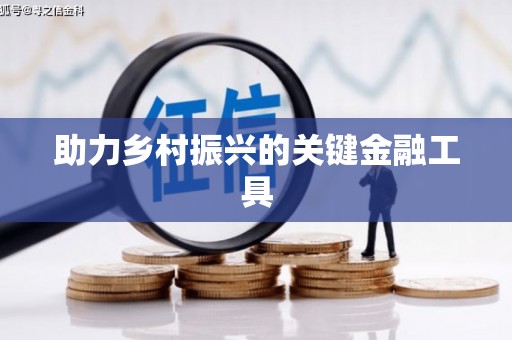 靖州助力乡村振兴的关键金融工具