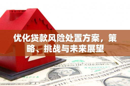 靖州优化贷款风险处置方案，策略、挑战与未来展望