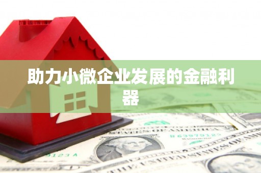 靖州助力小微企业发展的金融利器