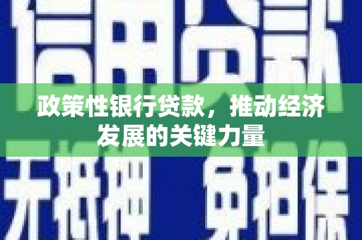靖州政策性银行贷款，推动经济发展的关键力量
