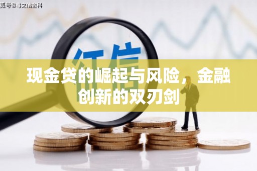 靖州现金贷的崛起与风险，金融创新的双刃剑