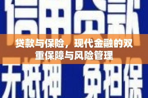 靖州贷款与保险，现代金融的双重保障与风险管理