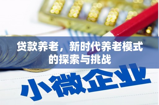 靖州贷款养老，新时代养老模式的探索与挑战