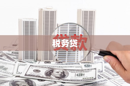 靖州税务贷