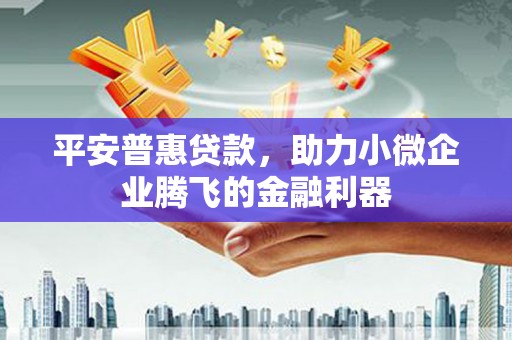 靖州平安普惠贷款，助力小微企业腾飞的金融利器