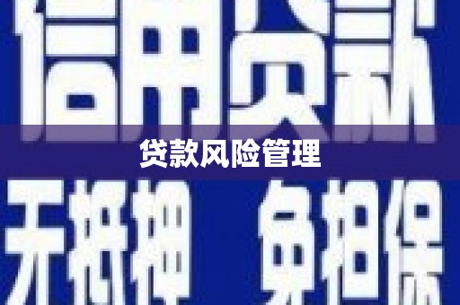 靖州贷款风险管理