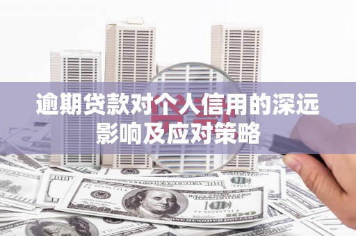 靖州逾期贷款对个人信用的深远影响及应对策略