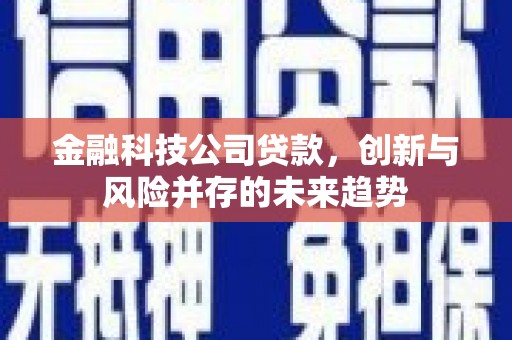 靖州金融科技公司贷款，创新与风险并存的未来趋势