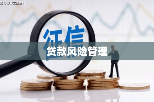 靖州贷款风险管理