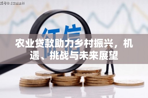 靖州农业贷款助力乡村振兴，机遇、挑战与未来展望