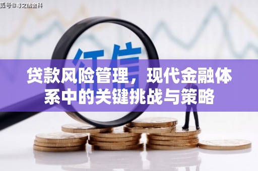 靖州贷款风险管理，现代金融体系中的关键挑战与策略