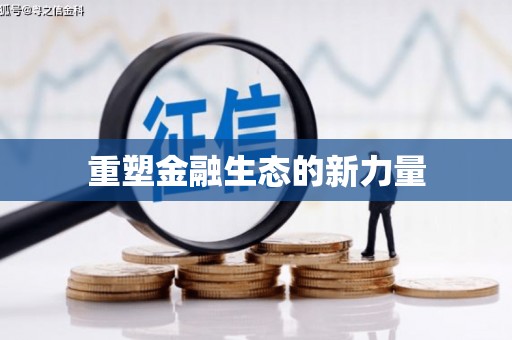 靖州重塑金融生态的新力量