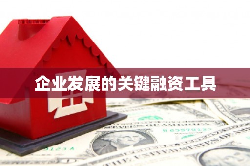 靖州企业发展的关键融资工具
